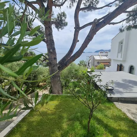 Sunset Palio Дом отдыха Палеон-Цифликион